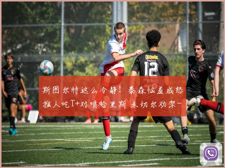斯图尔特这么冷静！泰森恼羞成怒推人吃T+对喷哈里斯 米切尔劝架