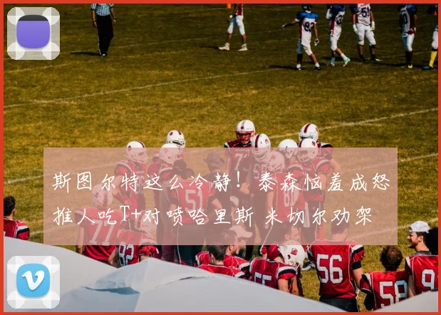 斯图尔特这么冷静！泰森恼羞成怒推人吃T+对喷哈里斯 米切尔劝架