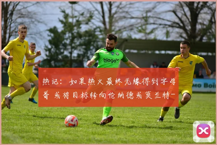热记：如果热火最终无缘得到字母哥 或将目标转向伦纳德或莫兰特