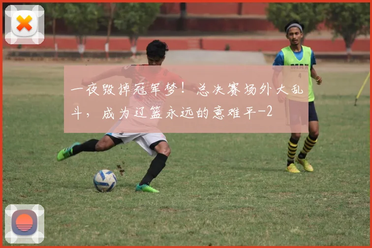 一夜毁掉冠军梦!总决赛场外大乱斗,成为辽篮永远的意难平