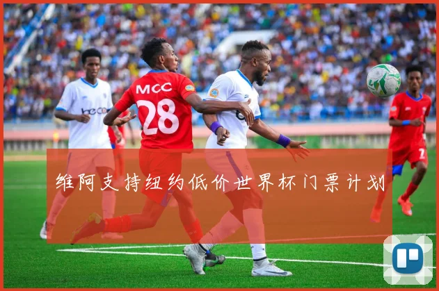 维阿支持纽约低价世界杯门票计划